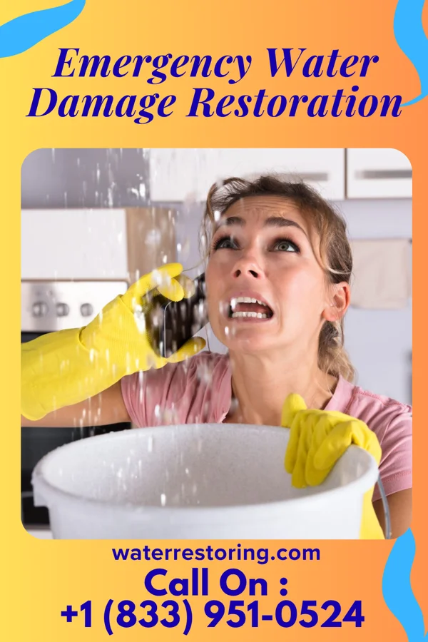 Emergency Water Damage Restoration in Meansville, GA